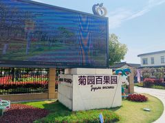 -菊园百果园