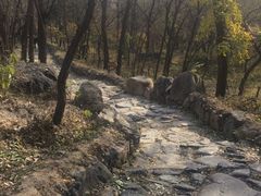 -阳台山自然风景区