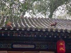 -晋祠公园