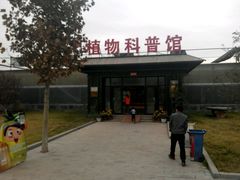 -淄博花灯齐彩城