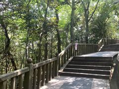 -上海佘山国家森林公园西佘山园