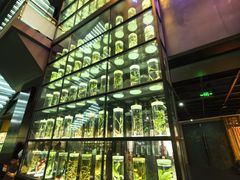 -广东中医药博物馆