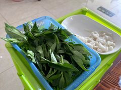 -15年老字号鑫鑫猪肚鸡·椰子鸡海南火锅(兴隆华侨农场店)