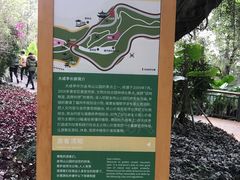 -金鸡山公园