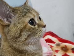 -太原东方动物医院(小店分院)