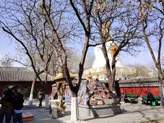 -护国法轮寺
