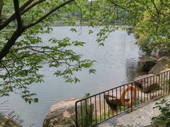 -白马涧龙池景区
