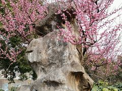 -堤角公园