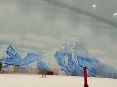 -哈尔滨热雪奇迹