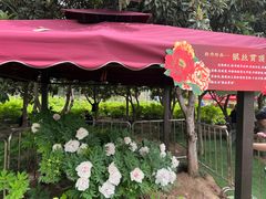 -洛阳市隋唐城遗址植物园