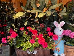 -萤火虫咖啡(后海店)