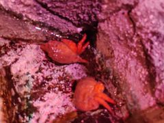 -沈阳海洋探索中心