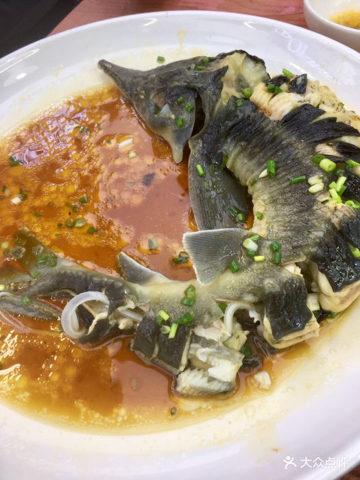 八百里海鲜体验馆(众圆店)清蒸鲟龙鱼图片 - 第1张