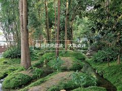 -成都市活水公园