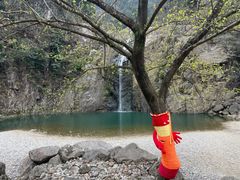 -泽雅七瀑涧景区