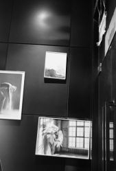 -OnHair Salon