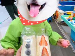 -Fruwich果明治(西单更新场店)