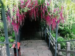 -神农山景区