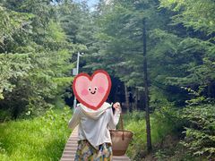 -芦芽山旅游度假区