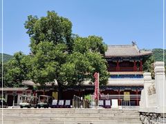 -潭柘寺景区