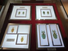 -上海昆虫博物馆