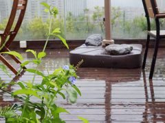 -小茶闲舍·观景商务茶馆(广州塔店)