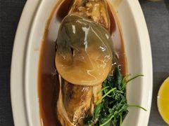 -沈灶河豚宴·河豚融合餐厅(汉中路店)