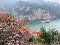 -白帝城·瞿塘峡景区