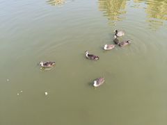 -前关湿地公园