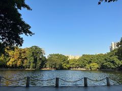 -荔湾湖公园