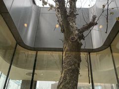 -星巴克(首钢店)