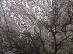 -阿政粤小馆(中央大街店)