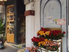 -溪岸路花鸟市场