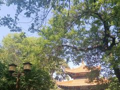 -北陵公园