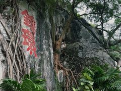 -星湖旅游景区七星岩