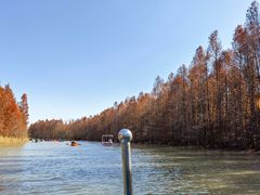 -上海海湾国家森林公园