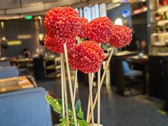 -盡膳口福跷脚牛肉火锅(北美新天地店)