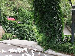 -燕塞湖鸟语林景区