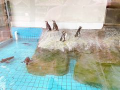 -上海野生动物园