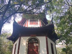 -上海佘山国家森林公园天马山园