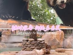 -北京野生动物园