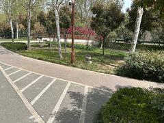 -洨河生态公园