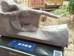 -中国第四纪冰川遗迹陈列馆