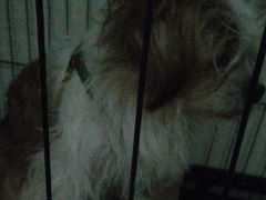 -百信宠物医院(东升街店)