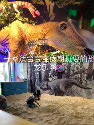 -恐龙探索乐园(磁器口店)
