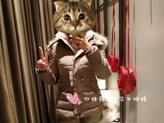 -ZARA(世贸天阶店)