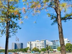 -美兰湖景区