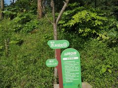 -太阳湾风景区