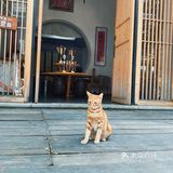 他说这里老房子多，意味着也多