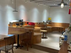 -有猫主题·治愈系猫咖(曾厝垵店)